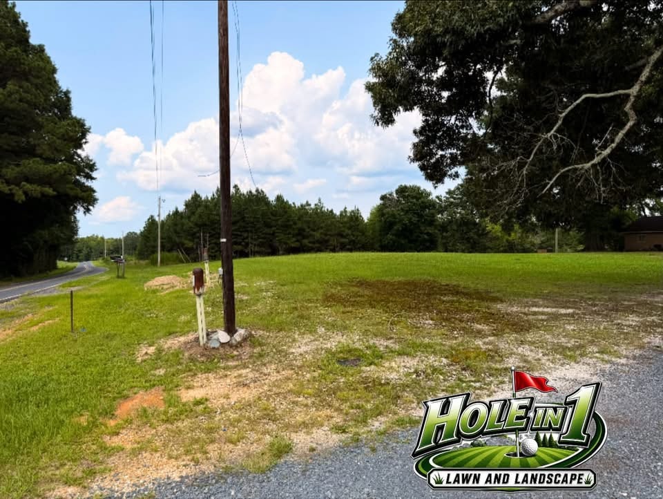 Property before lawn mowing service